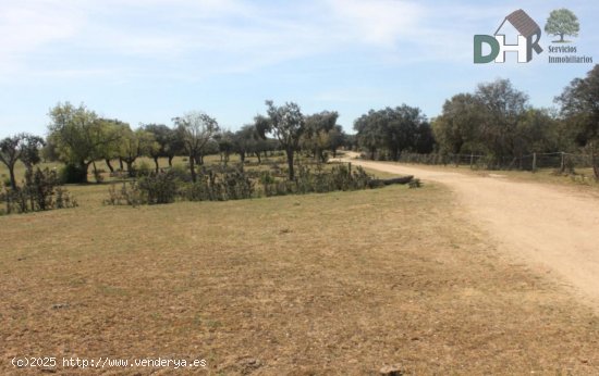 Solar en venta en Salamanca (Salamanca)