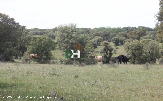 Solar en venta en Salamanca (Salamanca)