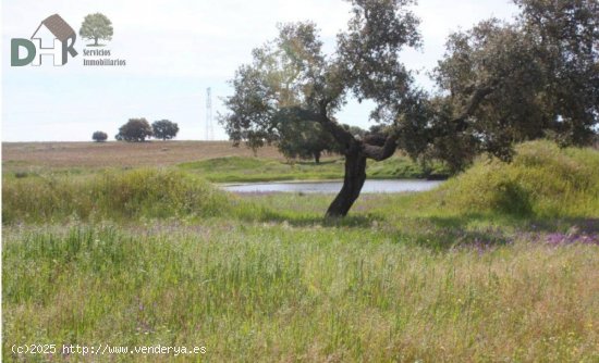 Solar en venta en Badajoz (Badajoz)