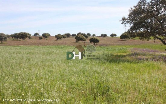 Solar en venta en Badajoz (Badajoz)