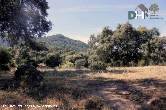  Solar en venta en Cáceres (Cáceres) 