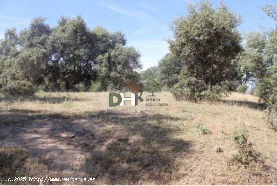 Solar en venta en Cáceres (Cáceres)