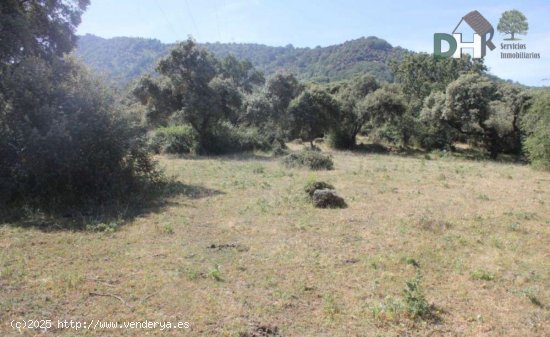 Solar en venta en Cáceres (Cáceres)