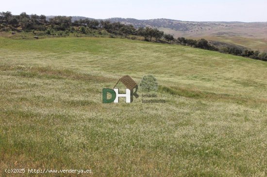 Solar en venta en Badajoz (Badajoz)