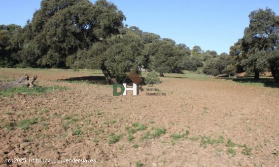 Solar en venta en Sevilla (Sevilla)