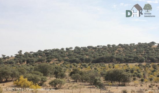 Solar en venta en Badajoz (Badajoz)