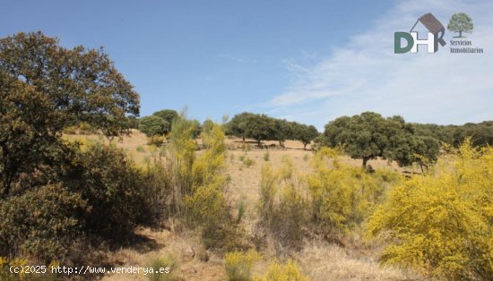 Solar en venta en Badajoz (Badajoz)