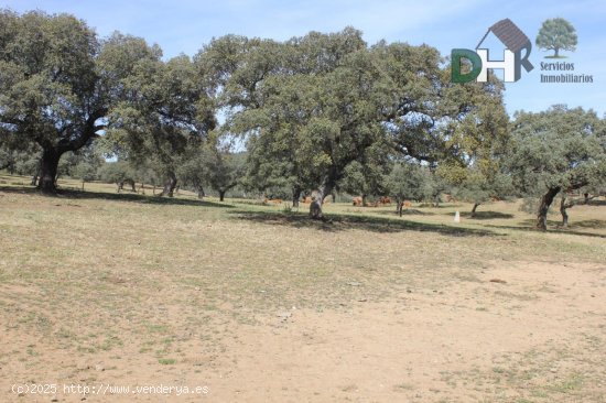 Solar en venta en Badajoz (Badajoz)