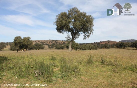 Solar en venta en Badajoz (Badajoz)