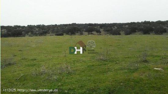 Solar en venta en Cáceres (Cáceres)