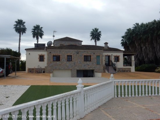 Finca en venta en Bigastro (Alicante)