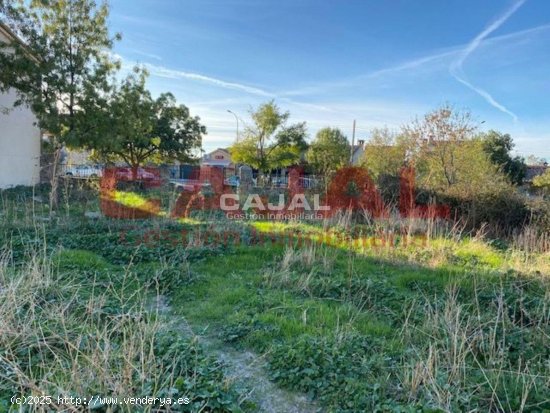 Parcela en venta en Trescasas (Segovia)