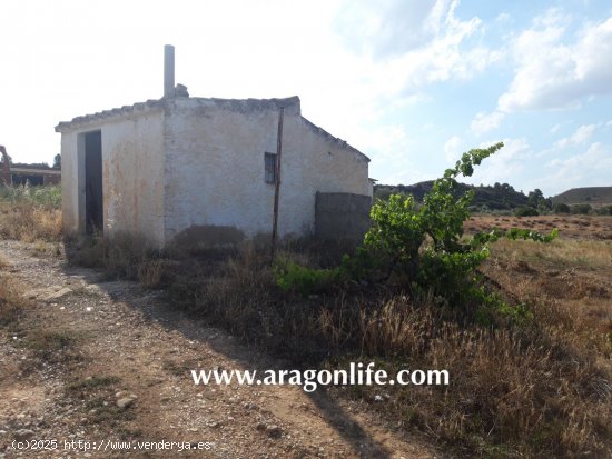  Finca en venta en Fabara (Zaragoza) 