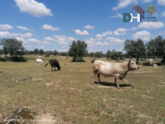 Solar en venta en Salamanca (Salamanca)