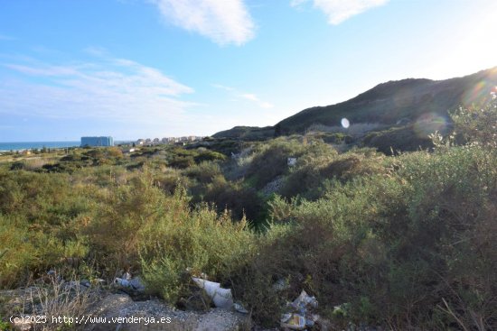 Solar en venta en Guardamar del Segura (Alicante)