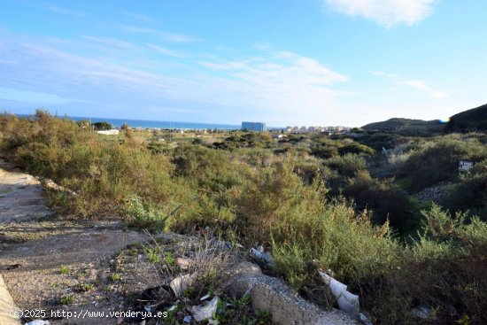 Solar en venta en Guardamar del Segura (Alicante)