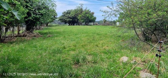 Parcela en venta en Coaña (Asturias)