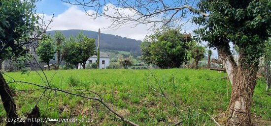 Parcela en venta en Coaña (Asturias)