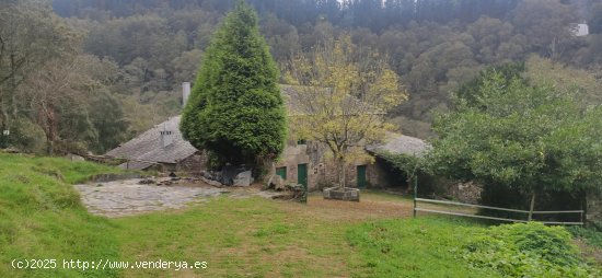 Finca en venta en Ourol (Lugo)