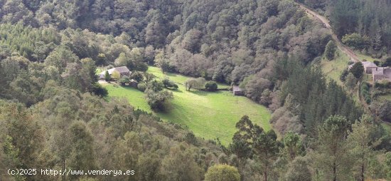 Finca en venta en Ourol (Lugo)