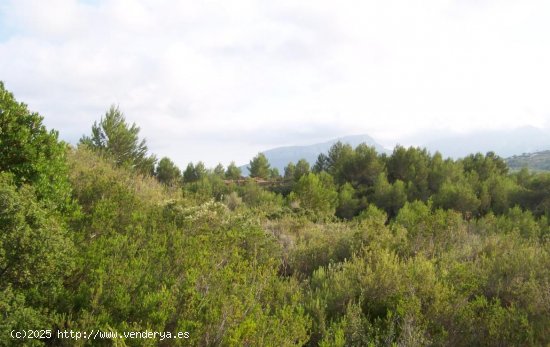 Parcela en venta en Benissa (Alicante)