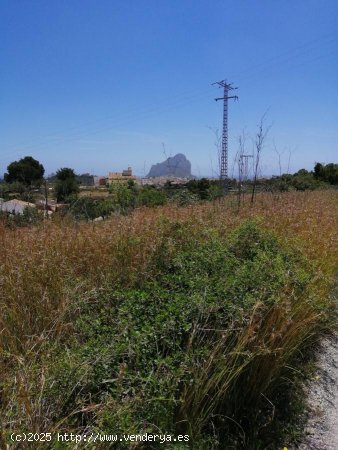 Parcela en venta en Calpe (Alicante)