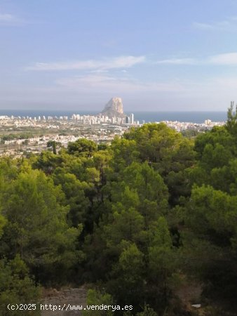  Parcela en venta en Calpe (Alicante) 