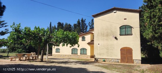 Finca en venta en Riudoms (Tarragona)