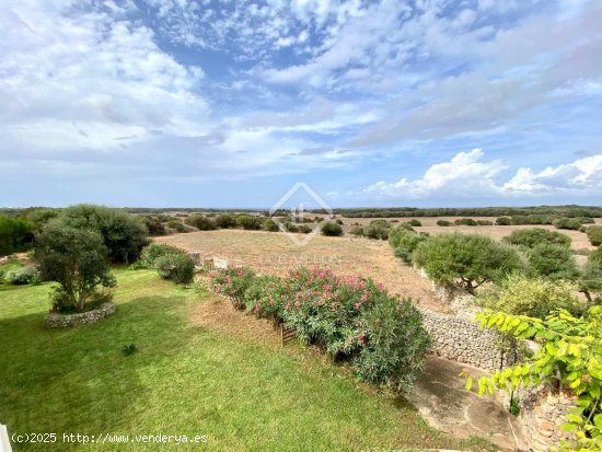 Casa en alquiler en Ciutadella de Menorca (Baleares)