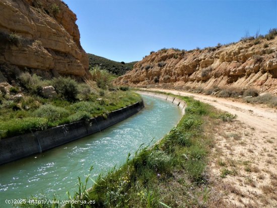 Finca en venta en Caspe (Zaragoza)