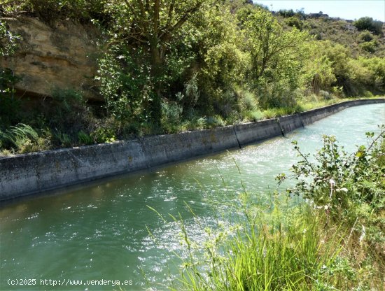 Finca en venta en Caspe (Zaragoza)