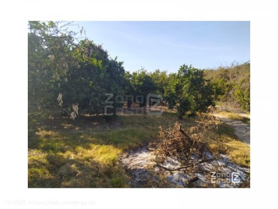 Finca en venta en Carcaixent (Valencia)