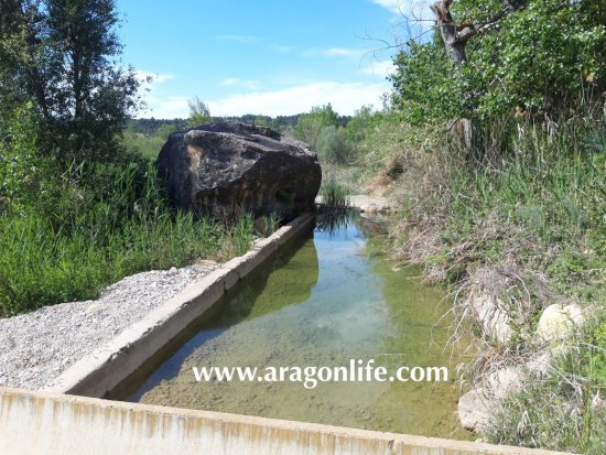 Finca en venta en Maella (Zaragoza)