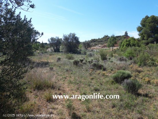 Finca en venta en Maella (Zaragoza)