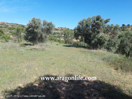 Finca en venta en Maella (Zaragoza)