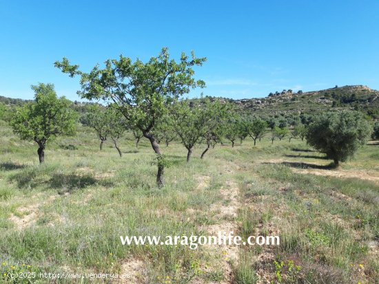 Finca en venta en Maella (Zaragoza)