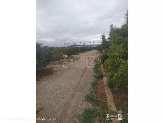 Finca en venta en Algemesí (Valencia)