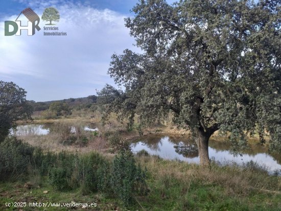 Solar en venta en Mérida (Badajoz)