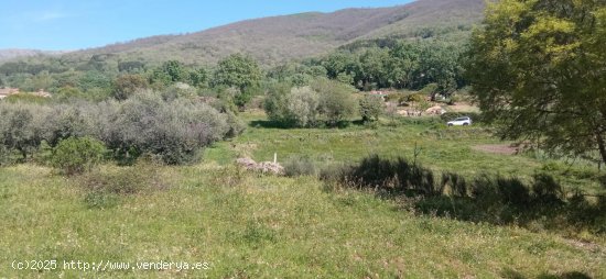 Finca en venta en Candeleda (Ávila)