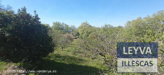 Finca en venta en Candeleda (Ávila)