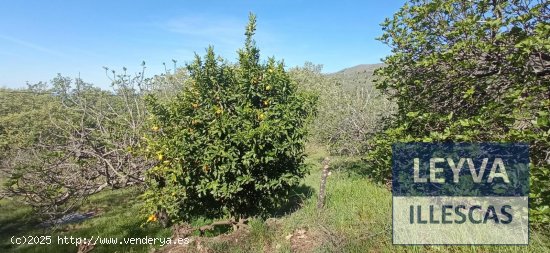 Finca en venta en Candeleda (Ávila)