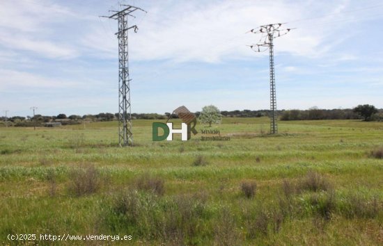 Solar en venta en Cáceres (Cáceres)