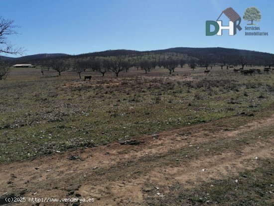 Solar en venta en Cáceres (Cáceres)