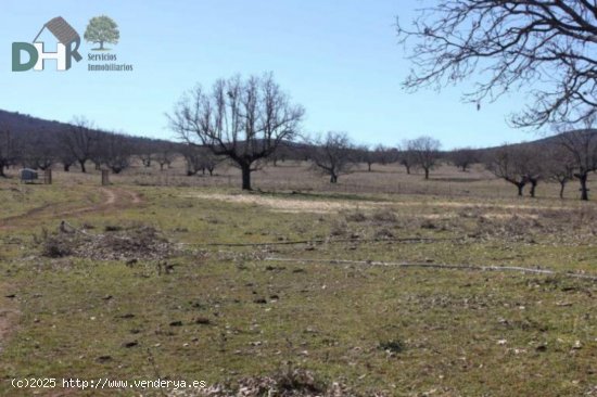 Solar en venta en Cáceres (Cáceres)