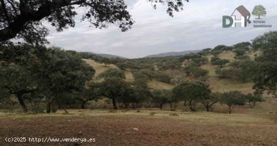 Solar en venta en Cáceres (Cáceres)