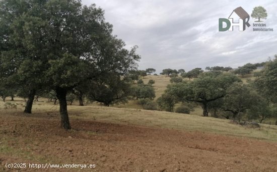 Solar en venta en Cáceres (Cáceres)