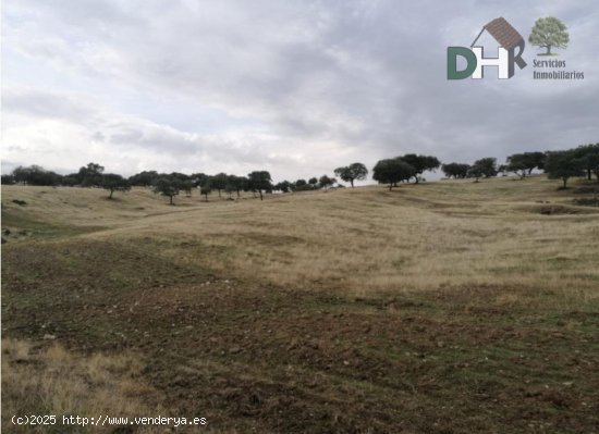 Solar en venta en Cáceres (Cáceres)