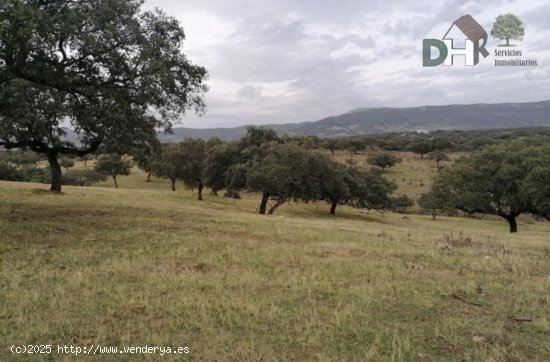 Solar en venta en Cáceres (Cáceres)