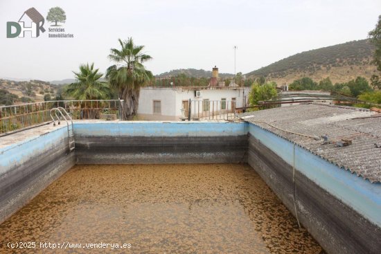 Solar en venta en Jerez de los Caballeros (Badajoz)