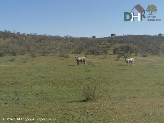 Solar en venta en Cáceres (Cáceres)